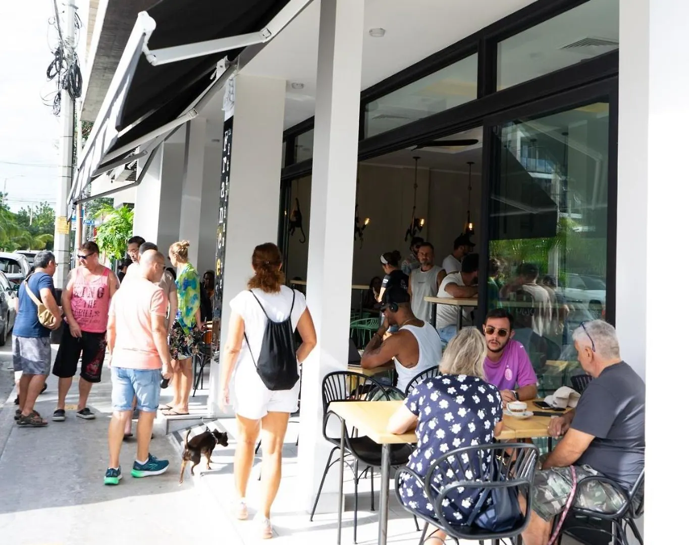 Luxury Apartment Top Location! Playa del Carmen 0*,